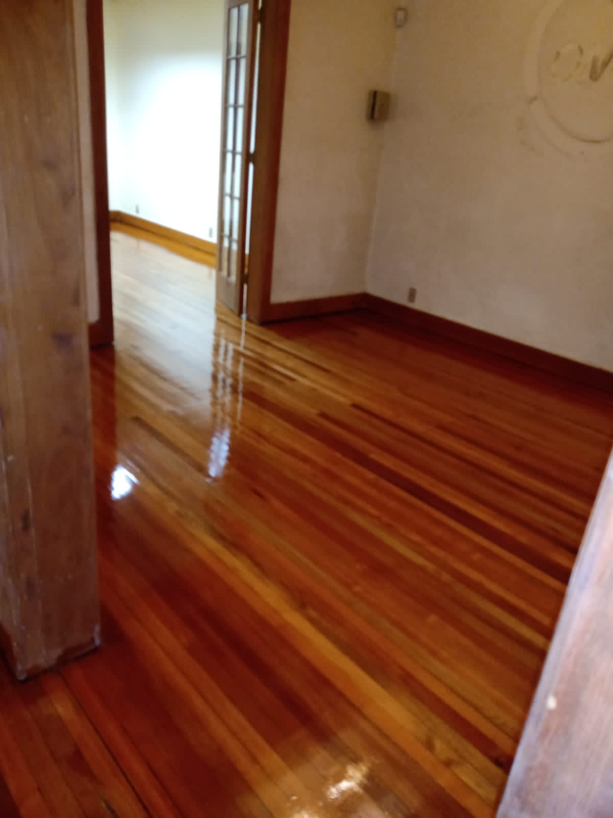 PHOTO 2021 07 10 12 22 29 3