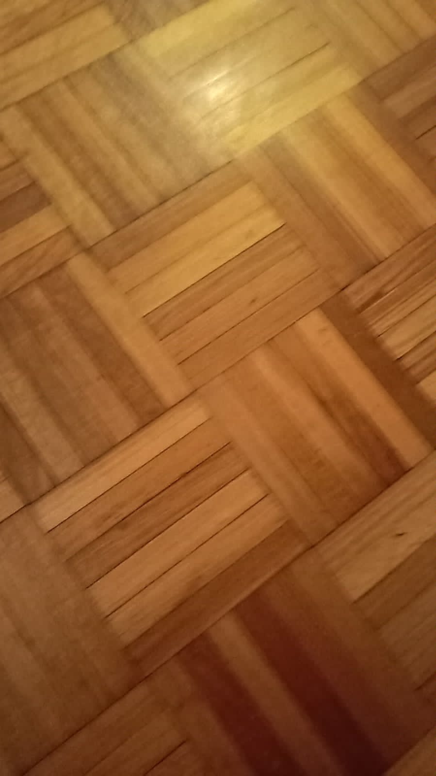 PHOTO 2021 07 10 12 22 32 4